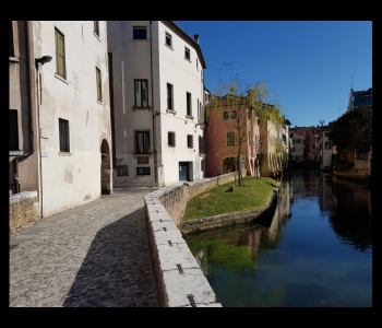 Ville singole Treviso e provincia