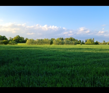 terreno con rustico Treviso lato Est