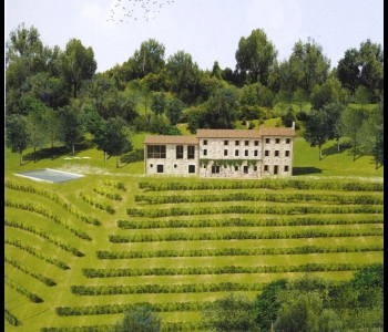 Tenuta zona DOCG prosecco